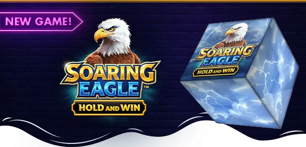 Soaring Eagle